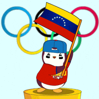 Flag Penguin GIF by Pudgy Penguins