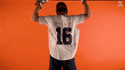Uvamenslax GIF by Virginia Athletics