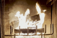 Burning Yule Log GIF by This Bushwick Life
