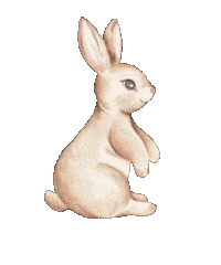 Rabbit Forest Sticker