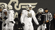 Csu Rams GIF by Colorado State Rams