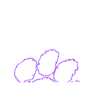 TigertownGraphics paw clemson clemson tigers clemson paw Sticker