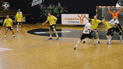 Celebrate Czech Republic GIF by HCB Karviná