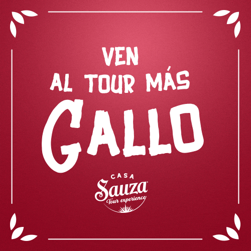 Tour Tequila GIF by Casa Sauza