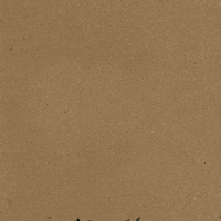 woperovski bee stamp insect lino GIF