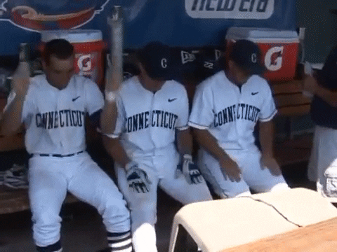 UConn6thBorough giphyupload houston george astros GIF