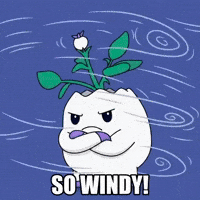 Windy City Weather GIF by Magic Eden