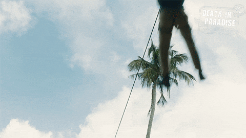 Zoom Zipline GIF by Death In Paradise