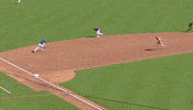 Blue Jays Canada GIF by Toronto Blue Jays