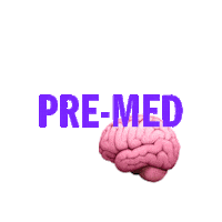 Kaplan Test Prep Premed Sticker by Kaplan