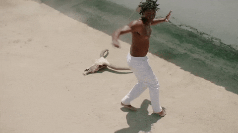 moocstudios giphyupload capoeira mooc bradesco GIF