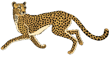 Spiritedartwork animals wild africa wildlife Sticker