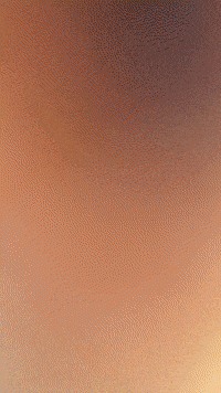 Garfield GIF by Youtooz