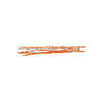 Orange Line Sticker by Kristen Hadeed