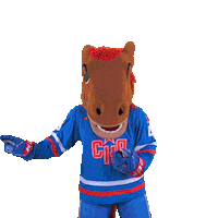 Point Up Sticker by SKA Ice Hockey Club