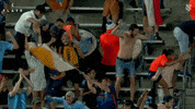 Major League Soccer Football GIF by NYCFC