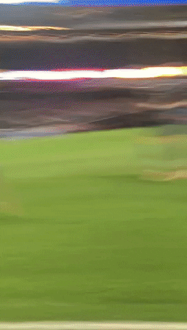 Celebration GIF by NYCFC