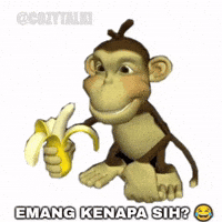 Monkey Karbit GIF