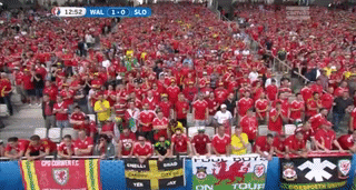 GIF by Sporza