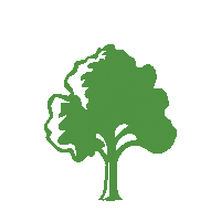 Oak Toa Sticker by The Oaks Academy