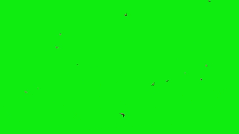 robwhisman giphygifmaker GIF