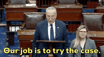 news impeachment senate trial chuck schumer GIF