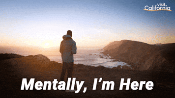 Vacation Im Here GIF by Visit California
