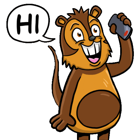 Hold On Hello Sticker by VeeFriends