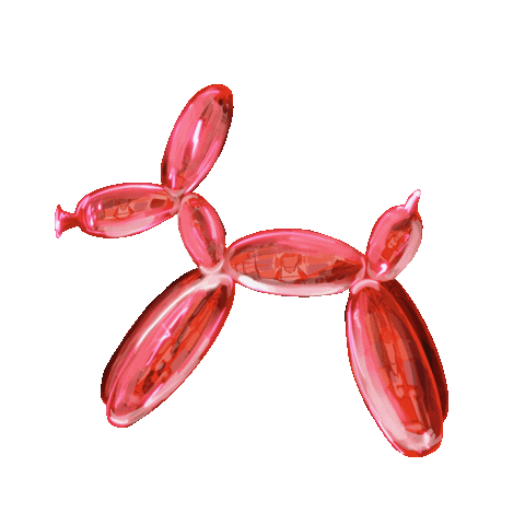 Danaya8 giphyupload dog glass reflection Sticker