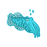 Cuttlefish Cephalopod Sticker by Fin Pin Shop