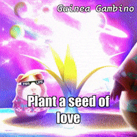 GIF by Guinea Gambino