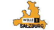 Music Radio Sticker by WELLE 1