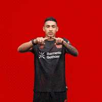 Bayer 04 Bundesliga GIF by Bayer 04 Leverkusen