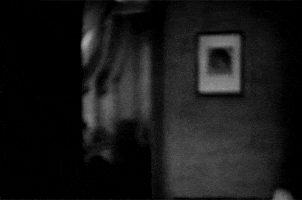 georg wilhelm pabst tagebuch einer verlorenen GIF by Maudit