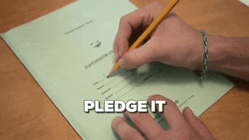 honor code finals GIF by Davidson College