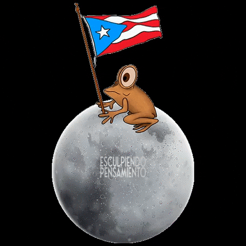 Puerto Rico Pr GIF by Esculpiendo Pensamiento