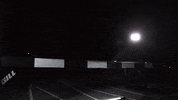Track And Field Ncaa GIF by EKU Sports
