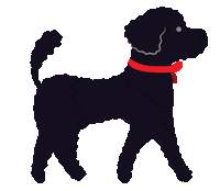 Dog Run Sticker by allpears