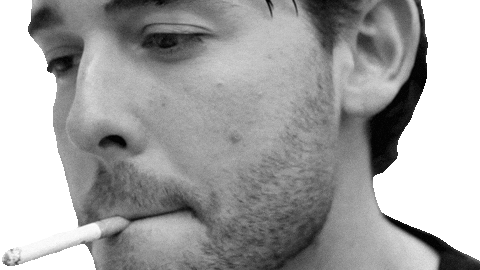 No Problem Gay Sticker by Sam Williams