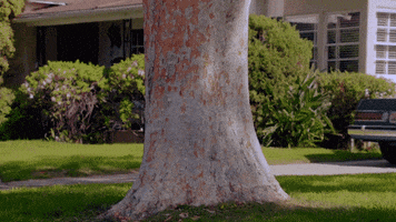 Sheldon Cooper GIF by CTV