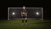 Pablo Linzoain GIF by Pittsburgh Riverhounds SC