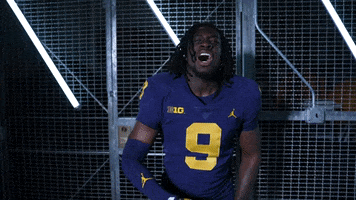 Go Blue GIF by Michigan Athletics