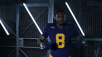 Go Blue Ncaa Football GIF by Michigan Athletics