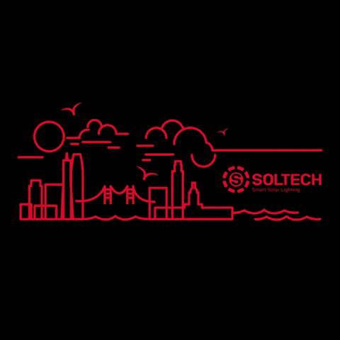 Soltech solar san francisco seagulls soltechllc GIF