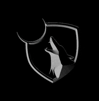 TransformPT workout wolf transform wolfpack GIF