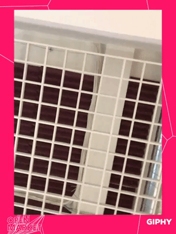 framebeta GIF