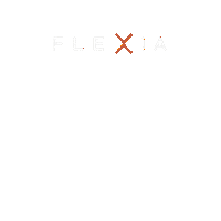 Pilates Sticker by Flexia