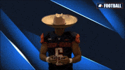 Cnfb GIF by Carson-Newman Athletics