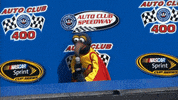 Auto Club 400 Nascar GIF by FOX Sports: Watch. Enjoy. Repeat.