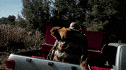 rocco de villiers piano GIF by Universal Music Africa